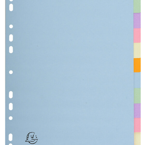 Exacompta Forever Recycled Divider 12 Part A4 170gsm Card Assorted Colours - 1612E