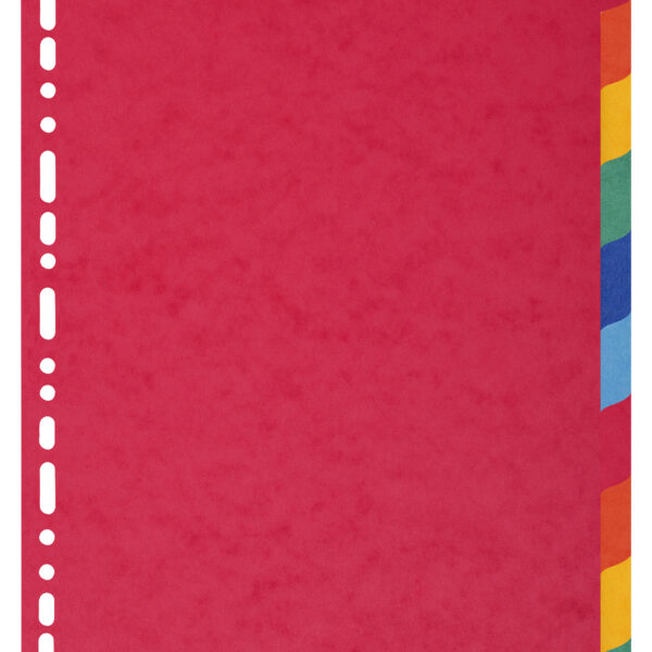 Exacompta Forever Recycled Divider 10 Part A4 Extra Wide 220gsm Card Vivid Assorted Colours - 2110E