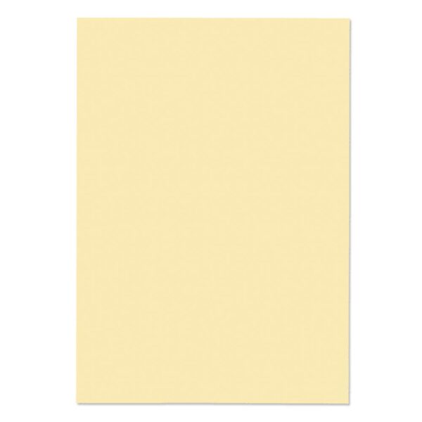 Blake Premium Business Paper A4 120gsm Vellum Wove (Pack 500) - 51677