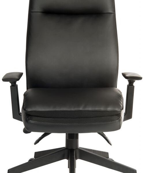 Plush Ergo Executive Office Chair Black - 6985