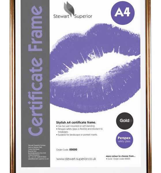 SECO A4 Pin Stripe Certificate Frame Black and Gold - BGA4PS