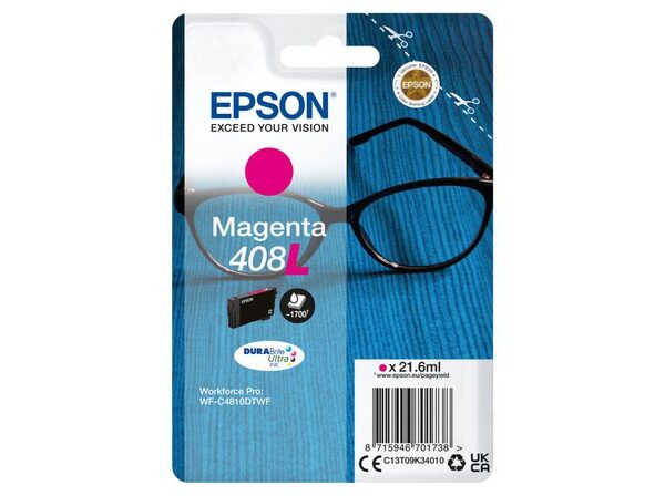 OEM Epson C13T09K34010