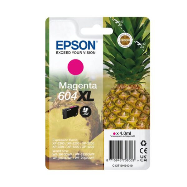 OEM Epson C13T10H34010