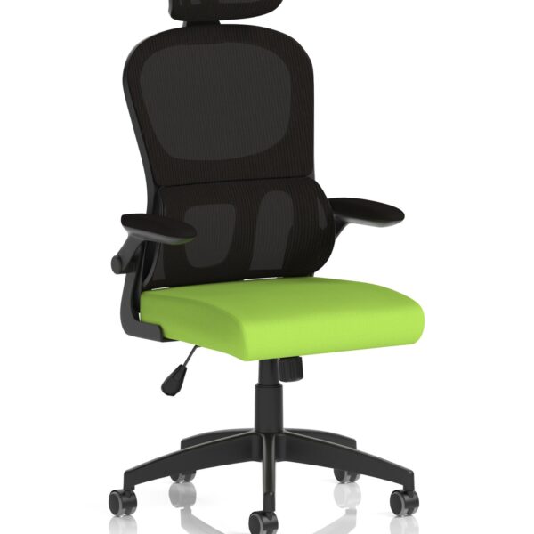 Iris Mesh Back Task Operator Office Chair Bespoke Myrrh Green Fabric Seat With Headrest - KCUP2033