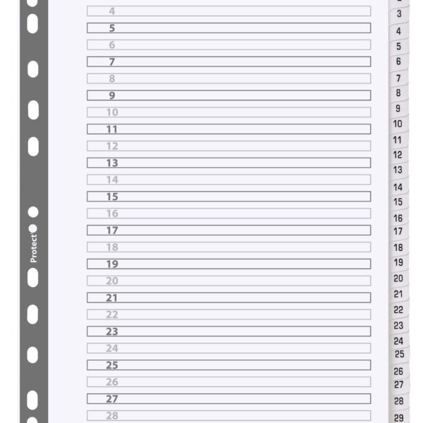 Exacompta Mylar Printed 160 GSM Indices