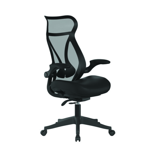 Ergonomic High Back Mesh Chair with Lockable Back Tilt & Seat Slide