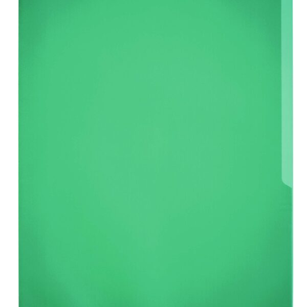 Durable STANDARD Pockets 100 Green