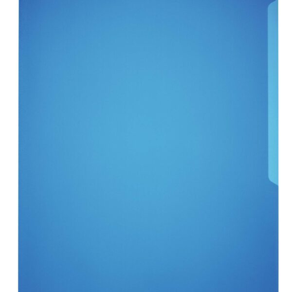 Durable STANDARD Pockets 100 Blue