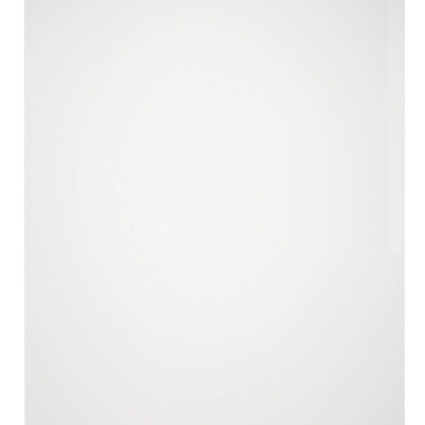 Durable STANDARD Pockets 100 Clear