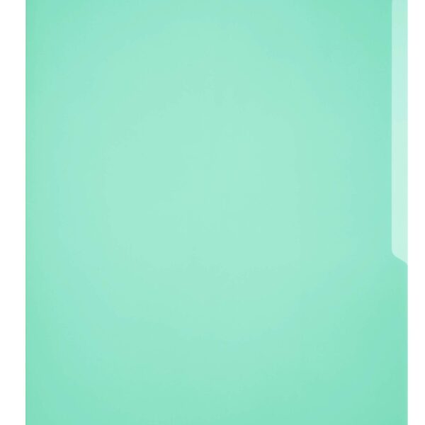 Durable BUSINESS Pockets 50 A4 Green