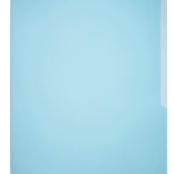 Durable BUSINESS Pockets 50 A4 Blue