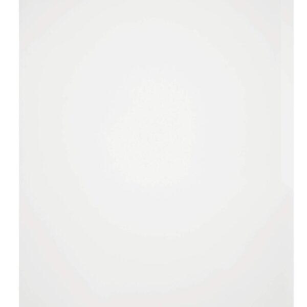 Durable BUSINESS Pockets 50 A4 Clear