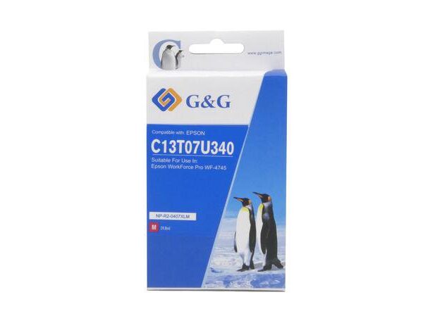 Comp Epson G+G 407XLM Ink Ctg