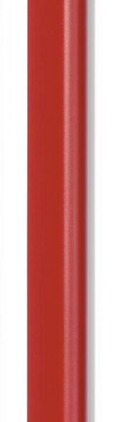 Durable SPINE BAR A4 6mm Red