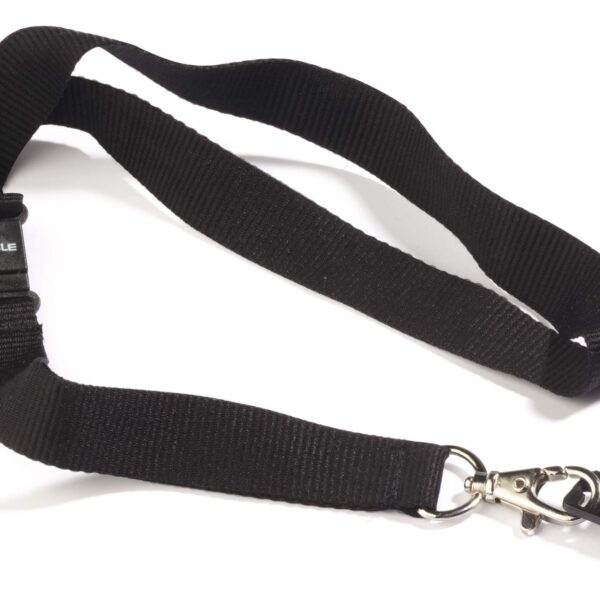 Durable CARDFIX Lanyard ID Badge Holder