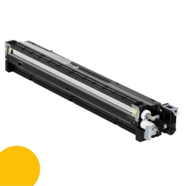 OEM Ricoh D2443023 Yellow Developer Unit