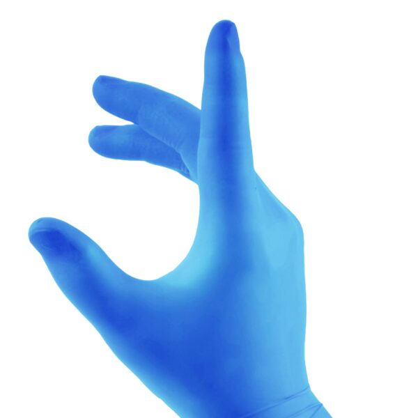 VINYL DISP GLOVES PF BLUE XL
