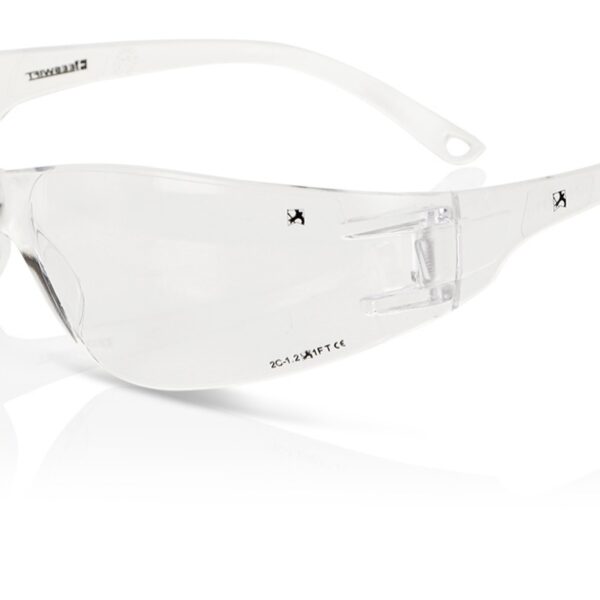 CLEAR WRAP AROUND SPECTACLE